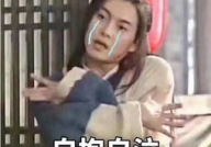 为了吃瓜我进娱乐圈了,我的跨界之旅