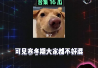 娱乐八卦劲爆吃瓜,劲爆吃瓜事件大曝光！