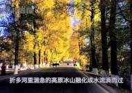 娱乐吃瓜君17集,揭秘娱乐圈背后的惊人真相