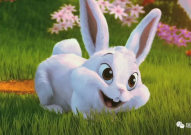 娱乐吃瓜酱 兔 圆 圆,揭秘兔圆圆的爆笑日常